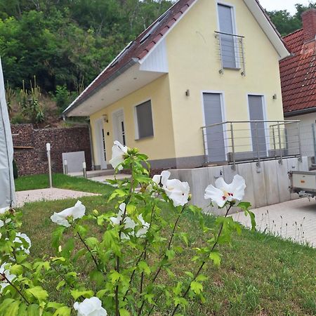 Ferienhaus Saaleblick Wettin エクステリア 写真