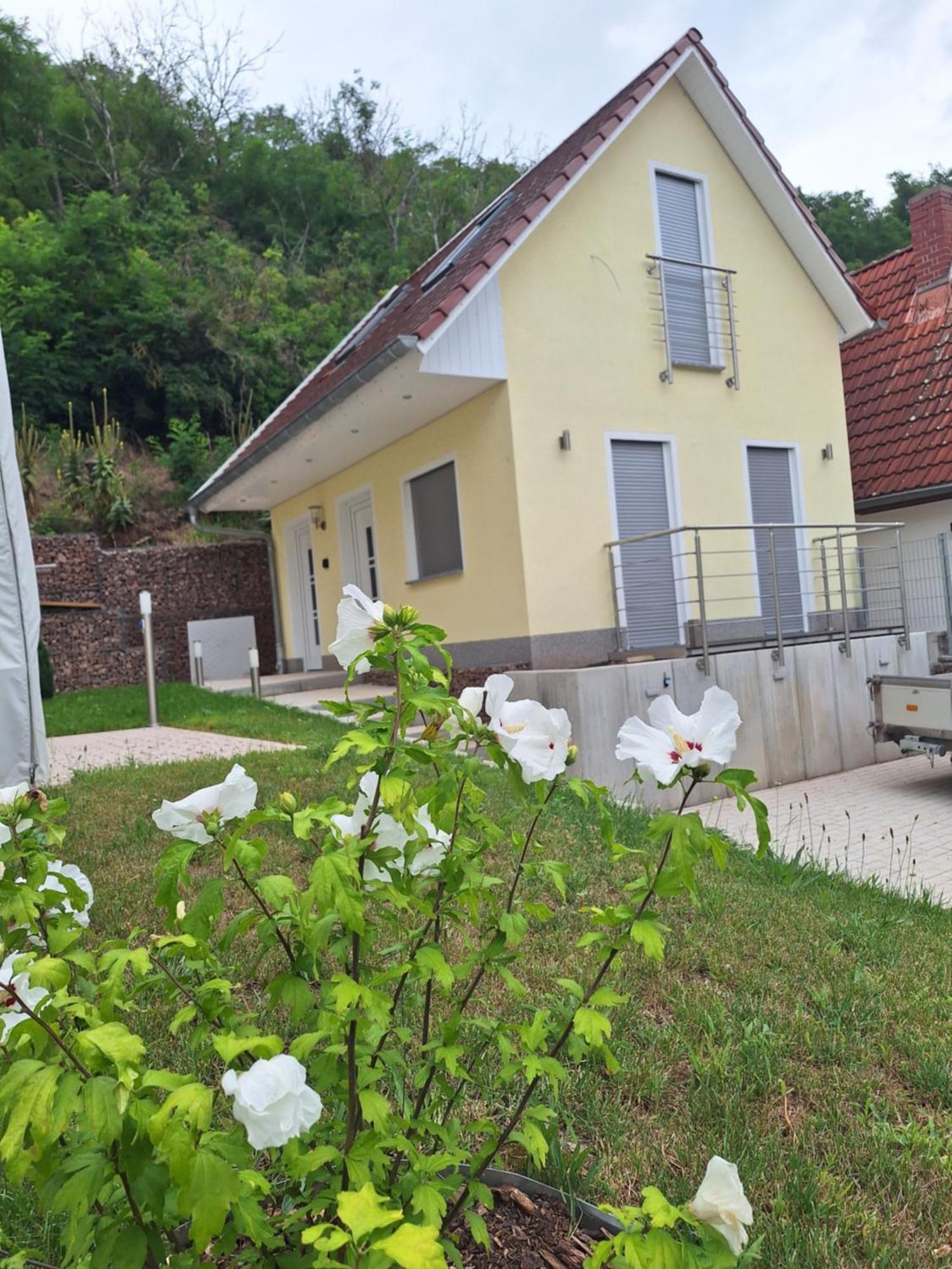 Ferienhaus Saaleblick Wettin エクステリア 写真